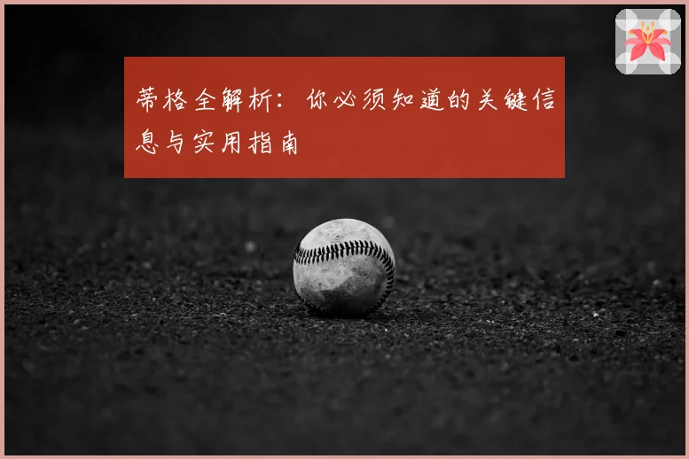 蒂格全解析：你必须知道的关键信息与实用指南