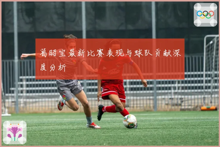 葛昭宝最新比赛表现与球队贡献深度分析